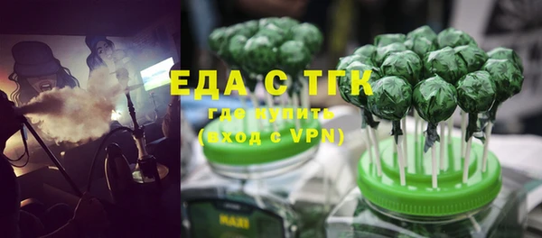 индика Богородск
