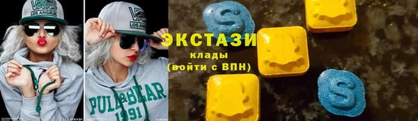 индика Богородск