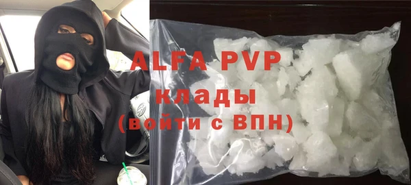 индика Богородск