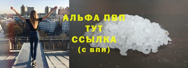 индика Богородск