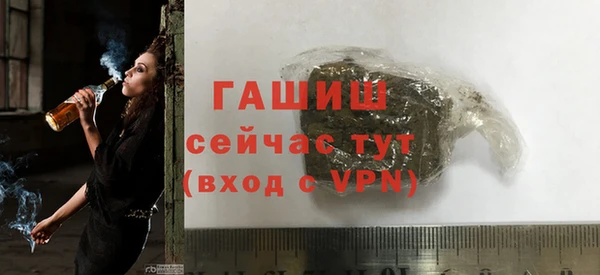индика Богородск