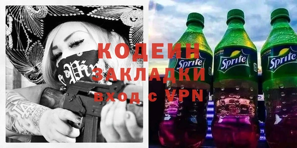 индика Богородск