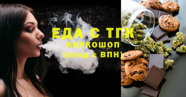 индика Богородск