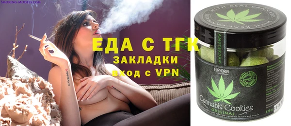 индика Богородск