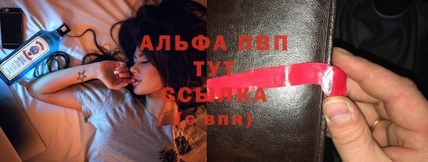 индика Богородск