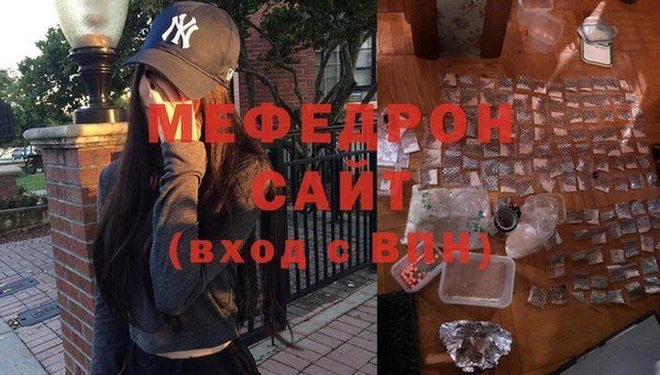 индика Богородск