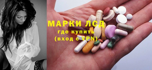 индика Богородск