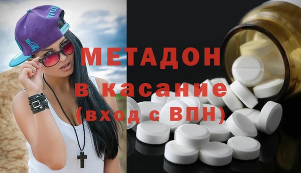 индика Богородск