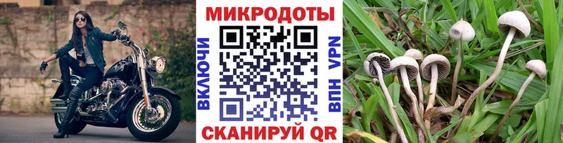 Псилоцибиновые грибы прущие грибы  Купить закладки  Баксан 